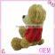 Plush brown bear with clothing, stuffed and plush toys, soft toys