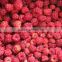 IQF good quality frozen raspberry