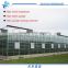 Venlo Glass span Greenhouse for Hydroponic Growing System