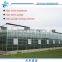 High Quality Venlo Steel Glass Greenhouse