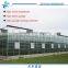 Venlo Glass Span Greenhouse for Cut Flower