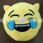 New Design Plush Emoji Pillows /Top Quality 3 D Style Back Cushion For Office Chair