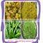 industrial pepper paste making machine/ginger garlic onion paste grinder /ginger paste grinding machine