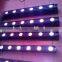 8*10W eight heads moving head beam Light