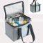 Outdoor Fitness Nonwoven Insulated Lunch Cooler Bag