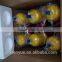1kg ultrafine dry powder car fire extinguisher