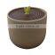 30ml 1oz top grade plastic cream jar