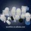 PVDF capsule filter 0.2micron