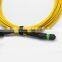 High quality SM MTP 12 cores patch cord from factory