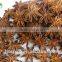 2015 New in Market Dahong Star Aniseeds