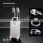 Fat Reduction New Cellulite Remover Machine Cryolipolysis With Cool Technology Fat Freezing 3.5