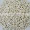 White kidney bean 2014 crop white bean