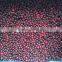 IQF mixed berries
