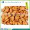 Bitter Apricot Kernel/Sweet Apricot Kernel