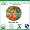 Wholesale Goji Berries