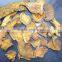 Chinese rhubarb root slices