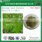 100% nutural moringa powder