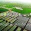Tea Seed Pellets for Organic Fertilizer, Golf Courses, Farming, etc.