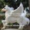 animated toy miniature fairy garden wings plush horse