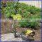 Tomato Plant Iron Spiral Support Stakes Popular in Italy Market