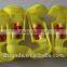Fully automatic plastic chicken drinker / best selling drinker