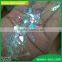 China wholesale bulk velvet art glitter kg