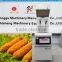 shanghai minggu deep fryer thermostat/double commercial deep fryer/deep fryer gas