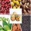 Nigeria Palm factory popular edible Oil processing plant