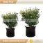 colorful flower plant pot,hot sale grow plant pots
