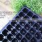 Black PS Material 105 cells Blister Process Plastic Plant Nursery Seed Plug Trays for Propagation