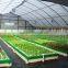 Searea Greenhouse Plastic Seed Tray for Greenhouse Hydroponic Lettuce