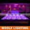 Wedding Led Starlit Dancefloor LED Light Source and CE,RoHS Certification