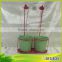 Professional Garden Supplier Self Watering Pot,Self Watering Planter Outdoor