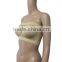 Hot Sell Comfortable Ladies Wrapped Chest with cup Tube top