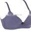 HSZ-58002 Wholesale Ladies Underwear Sexy Big Size Bra For Girls Custom Made Bras