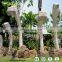 Life Size Museum Dinosaur Fossil Bones for Sale