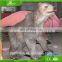 KAWAH Realistic Animal Model Life-Size Animatronic Polar Bear With Fur For Sale