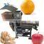 Hot Sale Orange Electric Stainless Steel 304 fruit and vegetable juicer