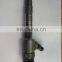 0445110293 Common Rail Fuel Injection 0 445 110 293 for   H5