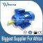 CAG HGIE2 Cast Iron Frame Three Phase Electric AC Induction Motor