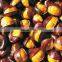 China factory supply Food Organic Peeled Roasted Chestnuts