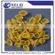 professional high capacity short pasta processing line