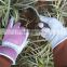 HANDLANDY pink goatskin leather work gloves safety,garden gloves HDD5040