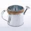 shiny stainless steel water cane
