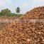 Raw Coconut With Best Quality/Cheap Raw Coconut Shells for making charcoal from Vietnam