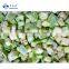 Sinocharm BRC-A approved IQ Zucchini F cube Frozen Zucchini
