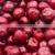 Sinocharm BRC A Approved IQF Pitted Sour Cherry Frozen Red Cherry