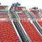 CHINA Market tomato paste line Tomato sauce  Tomato Paste Complete ketchup production line