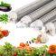 alibaba HOT sale LED grow light full spectrum luminescent 18W 4FT T8 LED hydroponic systems grow light tube