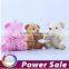 Soft stuffed amini bear custom plush keychain